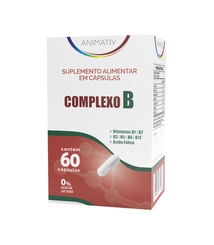 ANIMATIV COMPLEXO B 60CAPS