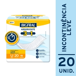 Absorvente Geriátrico Bigfral Regular Plus 20un