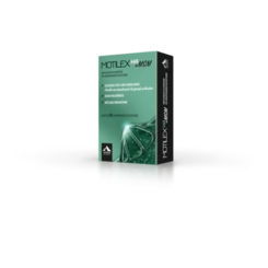 Suplemento Alimentar Motilex Ha + Msm Apsen 30 Comprimidos