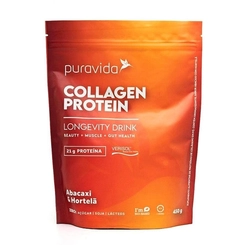 COLLAGEN PROTEIN ABACAXI E HORT 40G