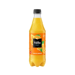 Suco Del Valle Citrus Punch 600Ml